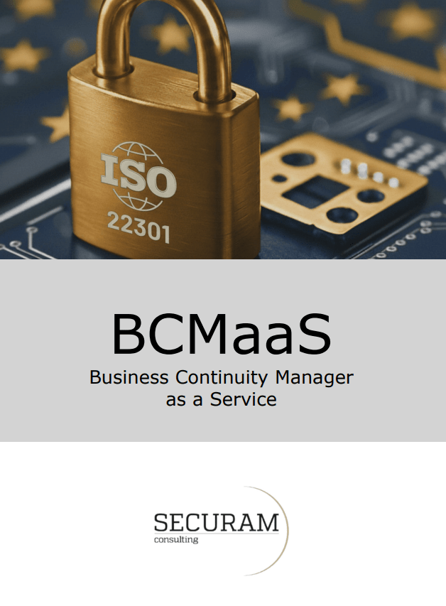 Externer BCM-Beauftragter Flyer Vorschau